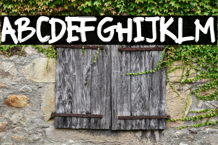 RHAOS PEESANT Example 2