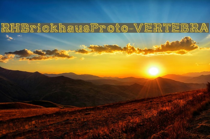 RHBrickhausProto-VERTEBRA Example 1