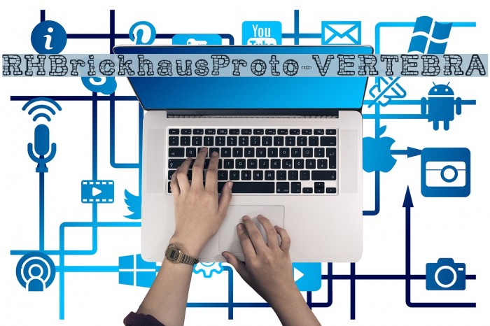 RHBrickhausProto-VERTEBRA Example 2