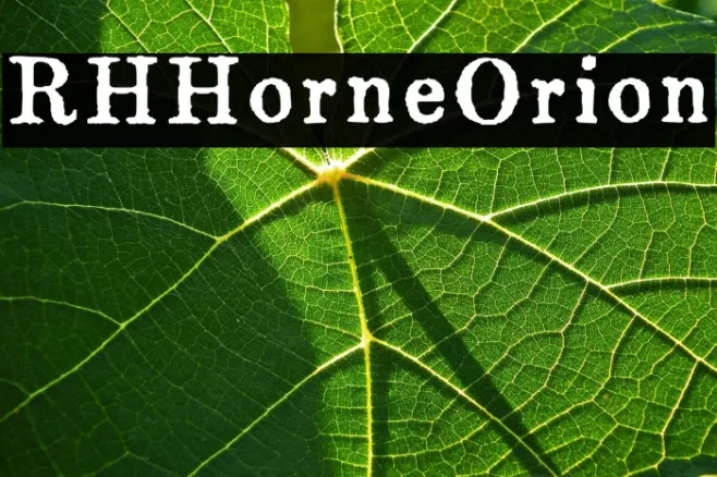 RHHorneOrion Example 2