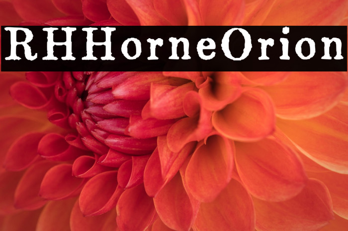 RHHorneOrion Example 3