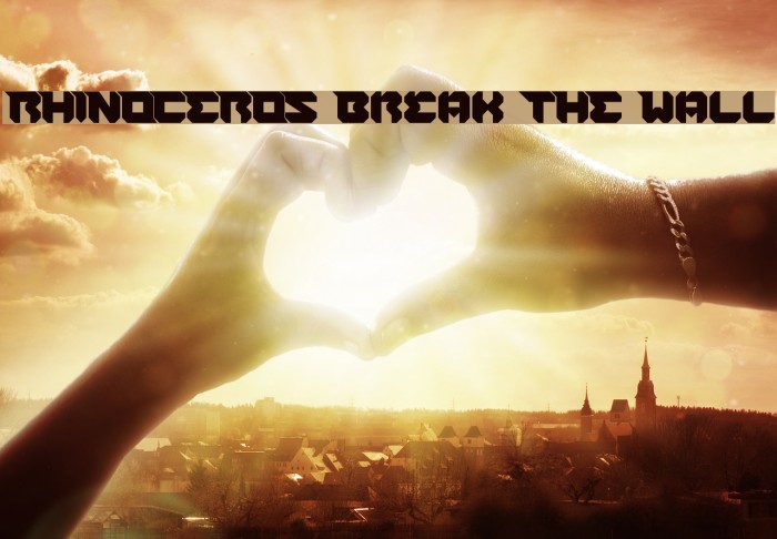 RHINOCEROS Break THE Wall Example 1