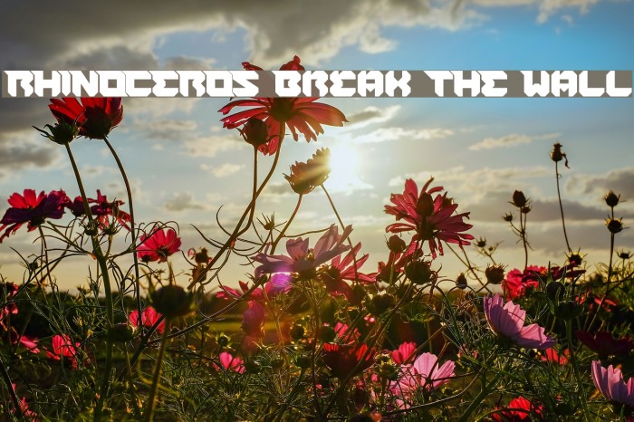 RHINOCEROS Break THE Wall Example 3