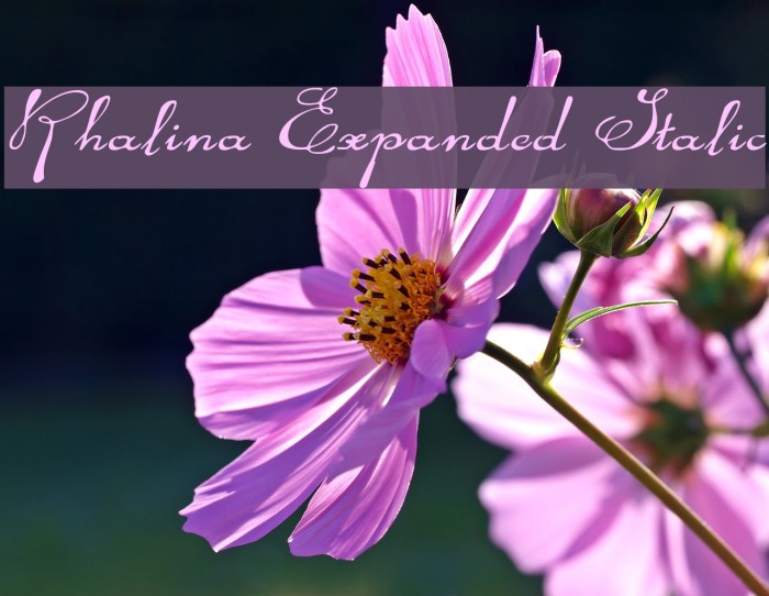 Rhalina Expanded Italic Font examples