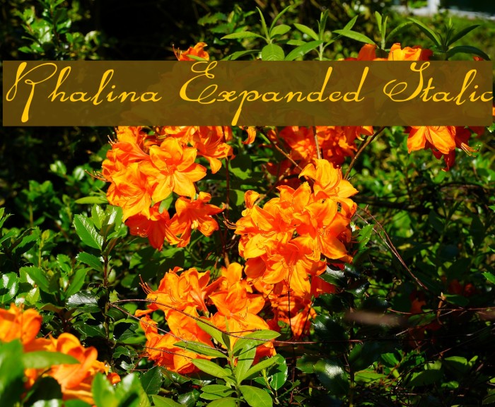 Rhalina Expanded Italic Font examples