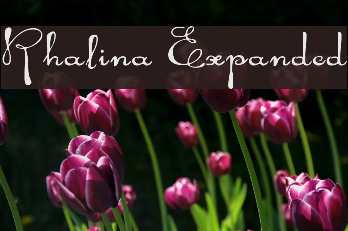 Rhalina Expanded Example 1