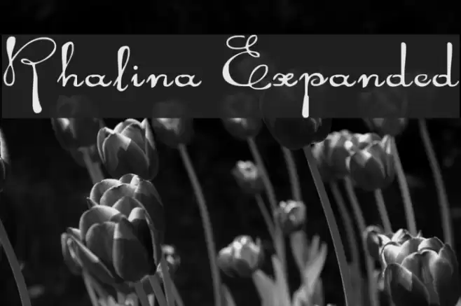 Rhalina Expanded Font examples