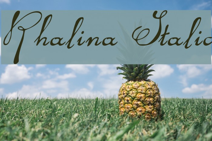 Rhalina Italic Font examples