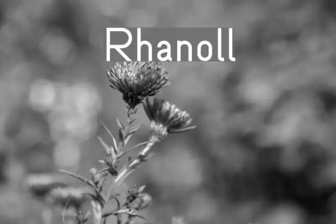 Rhanoll Font examples