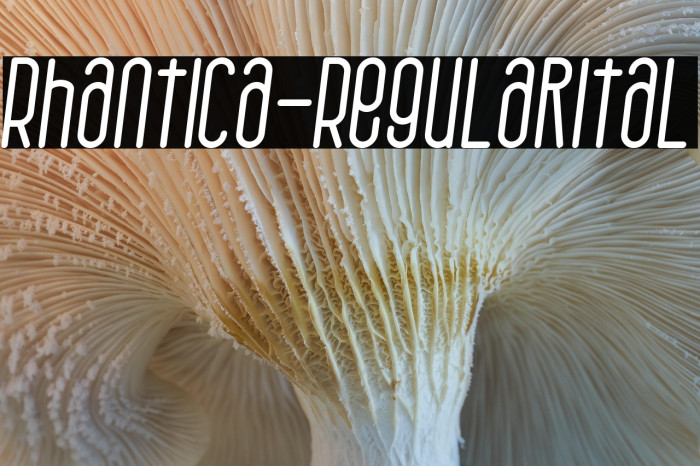 Rhantica-RegularItal Example 2