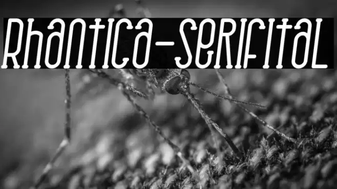 Rhantica-SerifItal Font examples