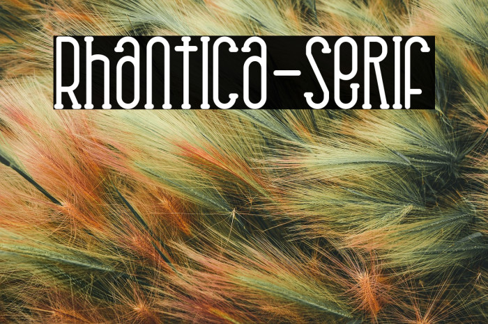 Rhantica-Serif Example 2