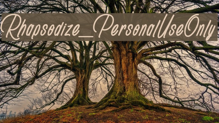 Rhapsodize_PersonalUseOnly Font examples