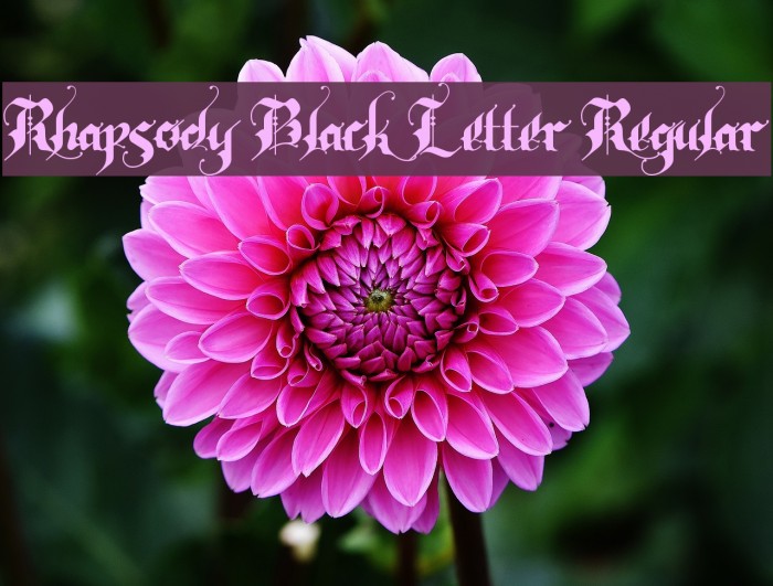 Rhapsody Black Letter Regular Font examples