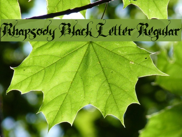 Rhapsody Black Letter Regular Font examples