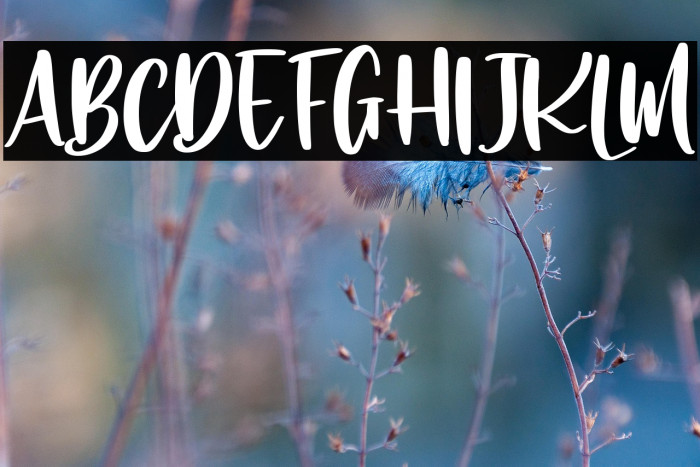 Rhapsody lovers Example 2