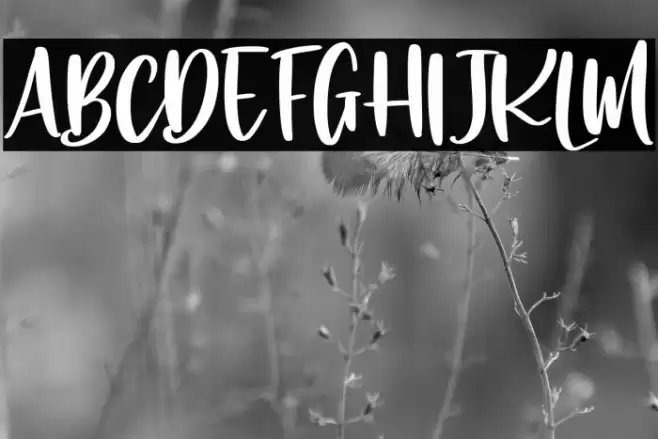 Rhapsody lovers Font examples