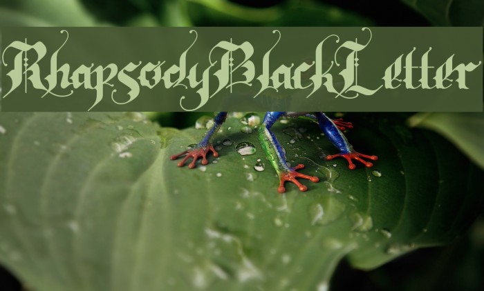 RhapsodyBlackLetter Font examples