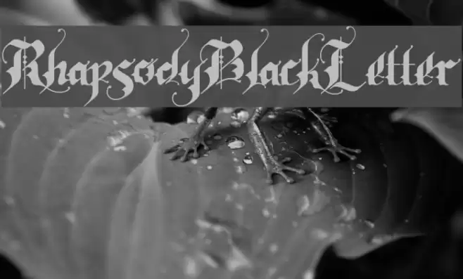 RhapsodyBlackLetter Caratteri examples