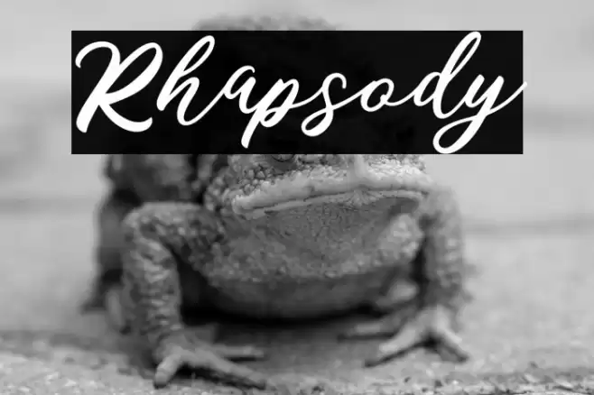 Rhapsody Font examples