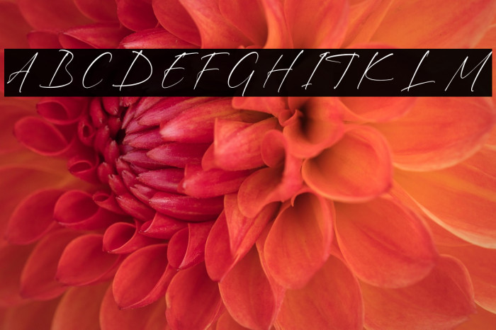 Rhastela Greams Font examples