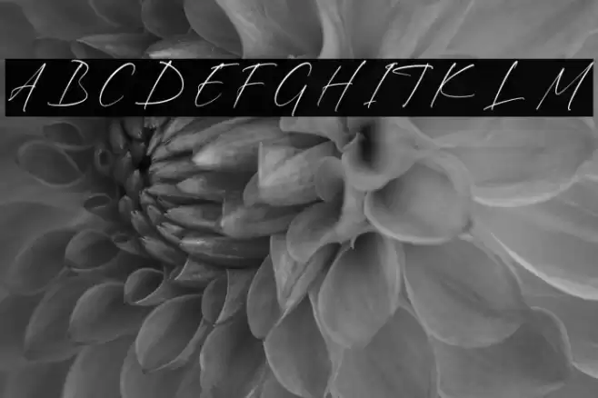 Rhastela Greams Fonte examples