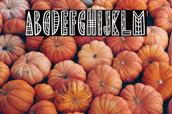 RhefillaFREE Example 2