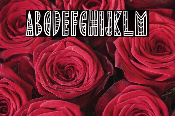 RhefillaFREE Example 3