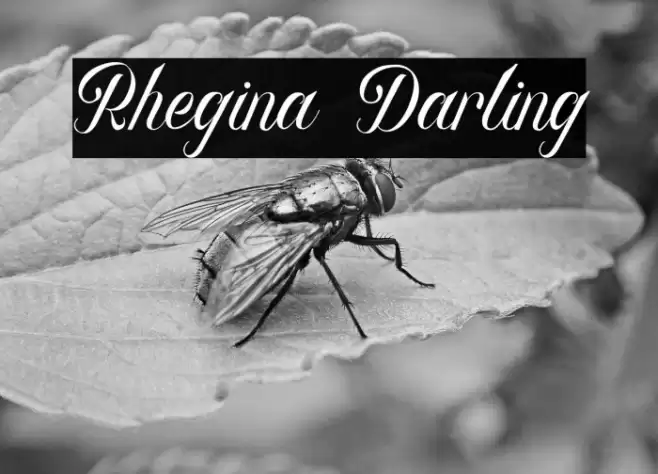 Rhegina Darling Font examples