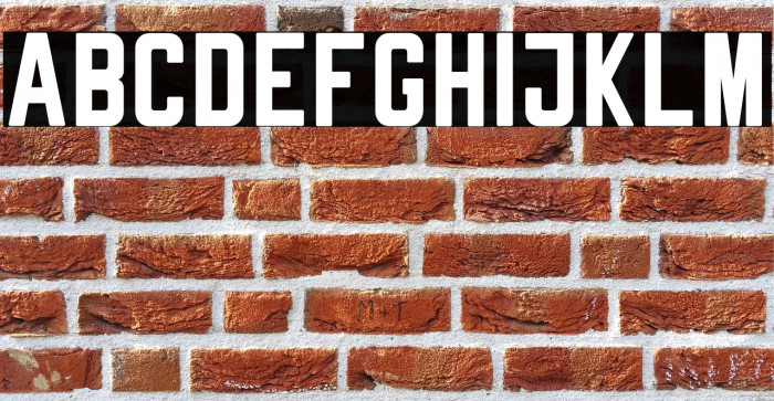 Rheiborn Sans Clean Example 1