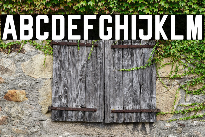 Rheiborn Sans Clean Example 3