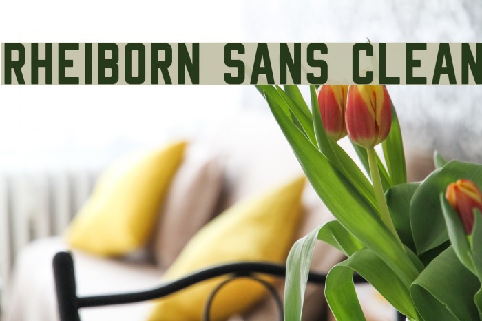 Rheiborn Sans Clean Example 2