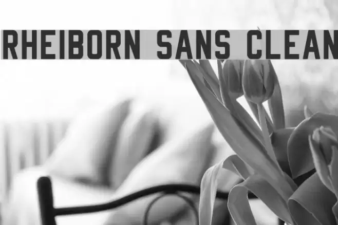 Rheiborn Sans Clean Font examples
