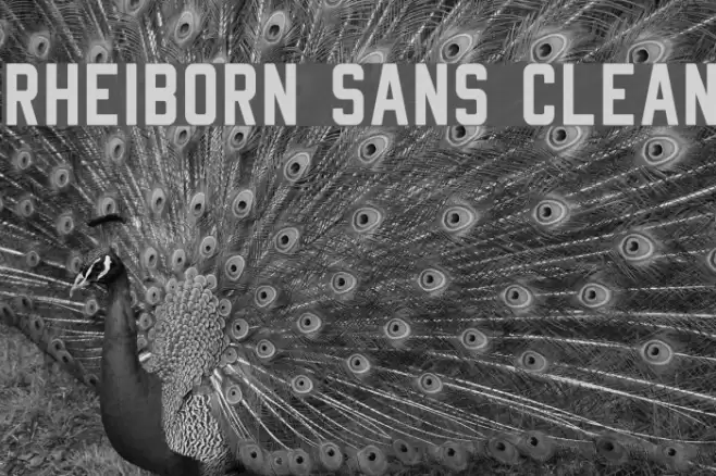 Rheiborn Sans Clean Font examples