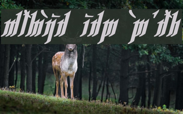 Rhesimol Bold Italic Font examples