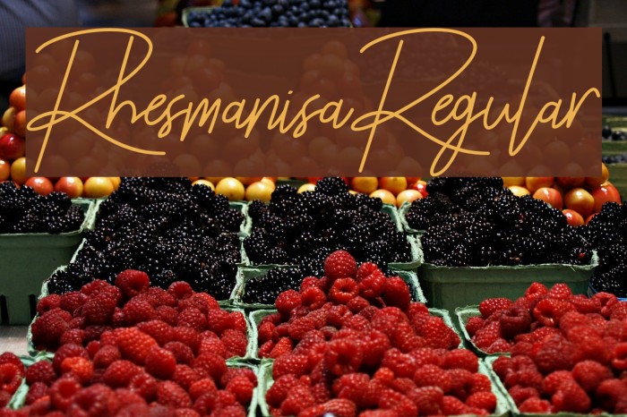 Rhesmanisa-Regular Example 2