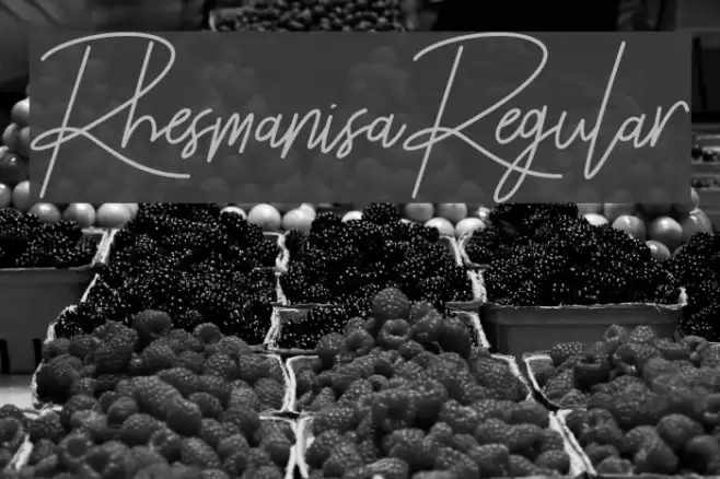 Rhesmanisa-Regular Font examples