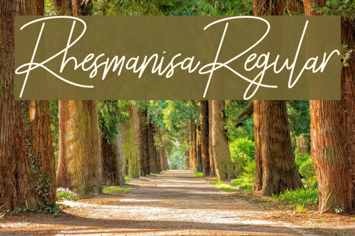 Rhesmanisa-Regular Example 3