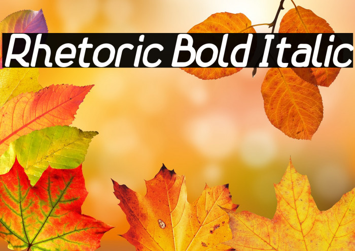 Rhetoric Bold Italic Example 1