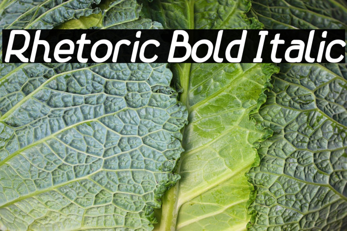 Rhetoric Bold Italic Example 2