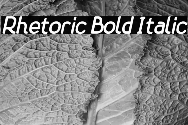Rhetoric Bold Italic Font examples