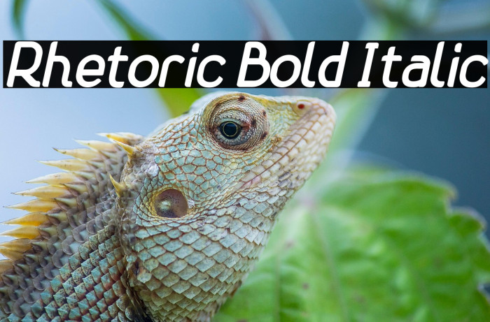 Rhetoric Bold Italic Example 3