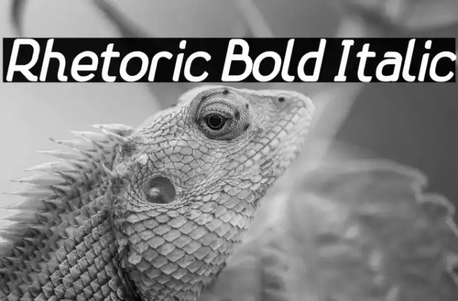Rhetoric Bold Italic Font examples
