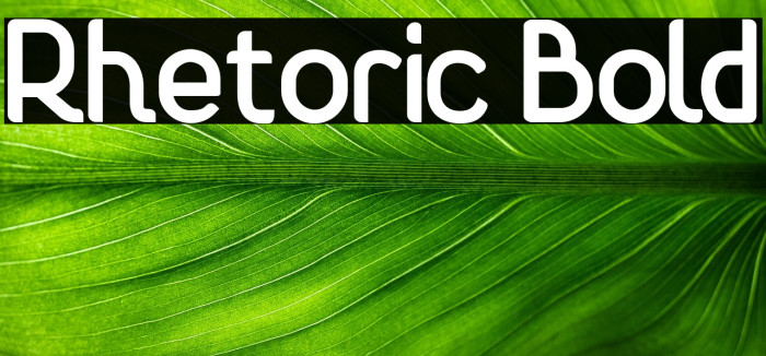 Rhetoric Bold Example 2