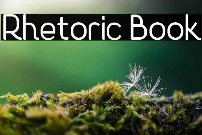 Rhetoric Book Example 1