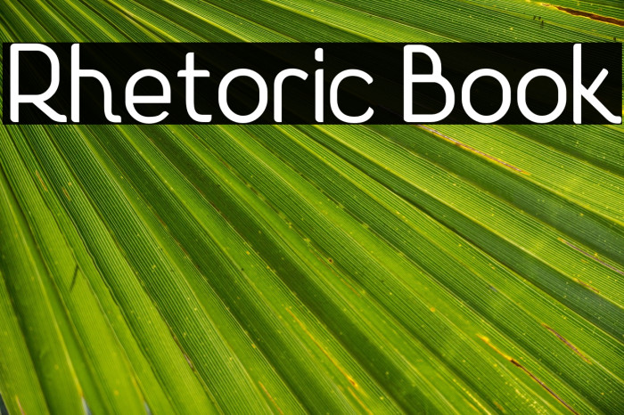 Rhetoric Book Example 2