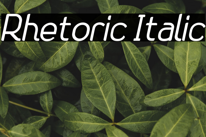 Rhetoric Italic Example 2