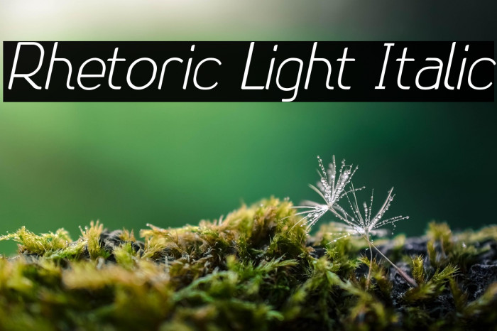 Rhetoric Light Italic Example 1