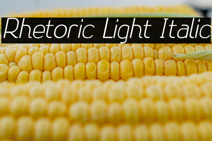 Rhetoric Light Italic Example 2