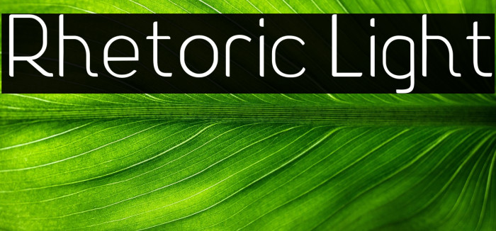 Rhetoric Light Example 2